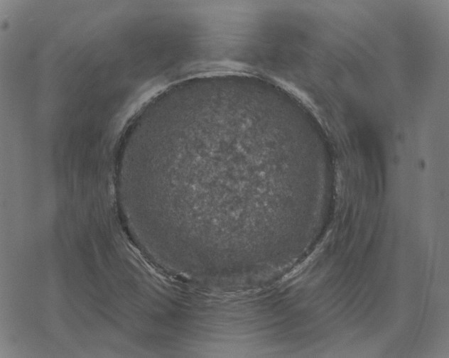 X0000076081407200610061604