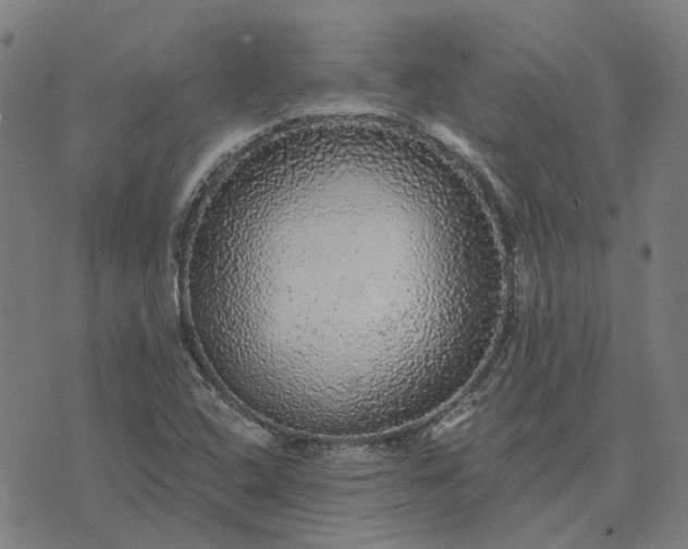 X0000076081408200610061604