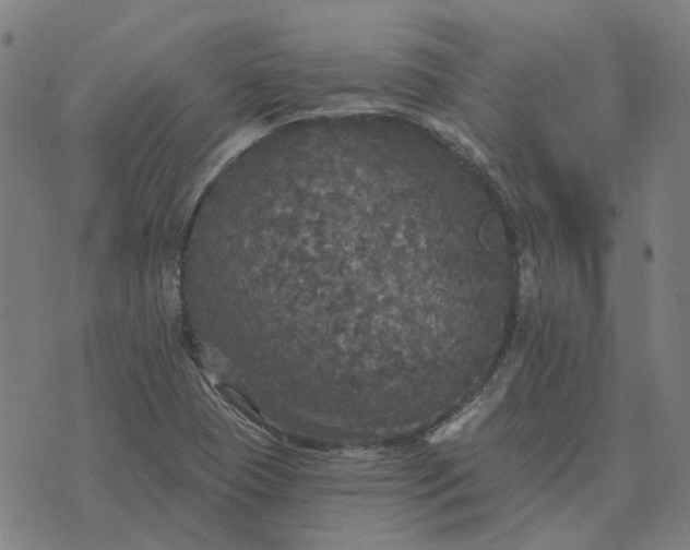 X0000076081409200610061604