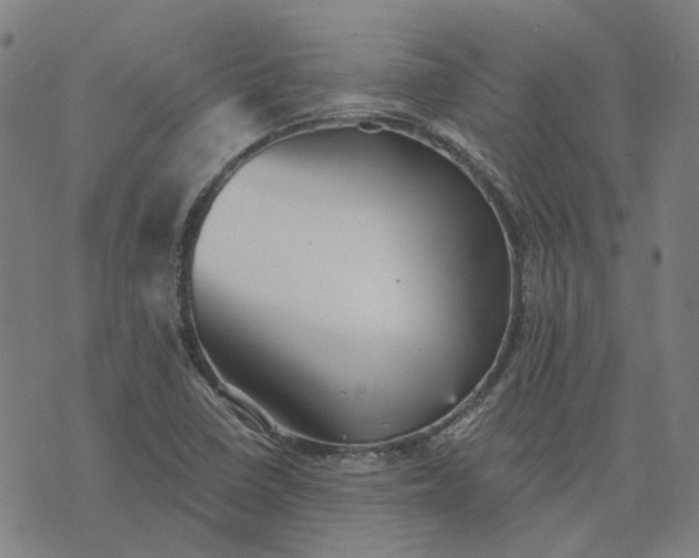 X0000076081410200610061604