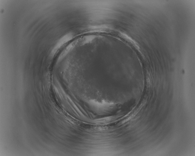 X0000076081411200610061604