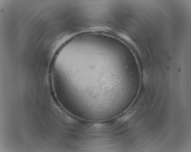 X0000076081412200610061604