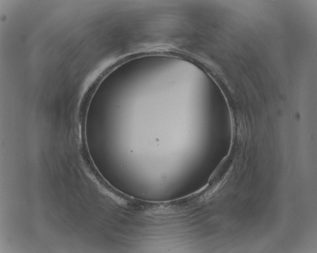 X0000076081414200610061604