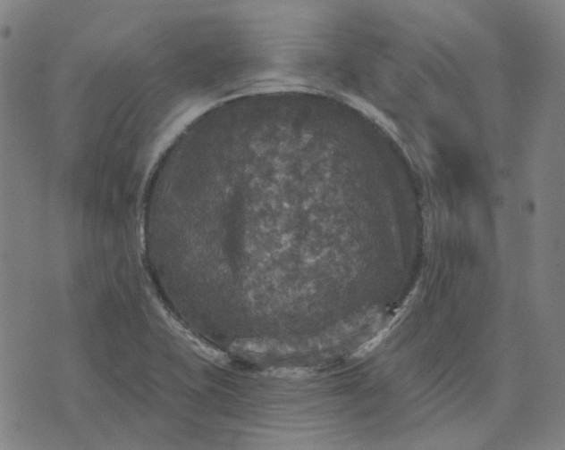 X0000076081415200610061604