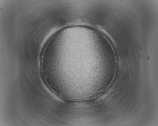 X0000076081416200610061604