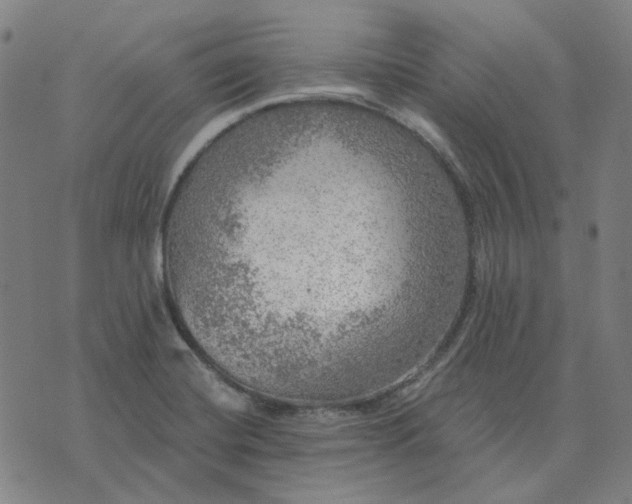 X0000076081420200610061604