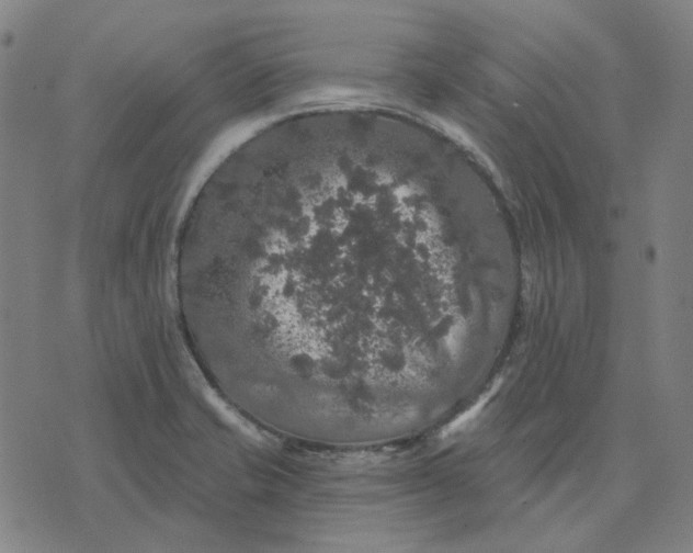 X0000076081421200610061604