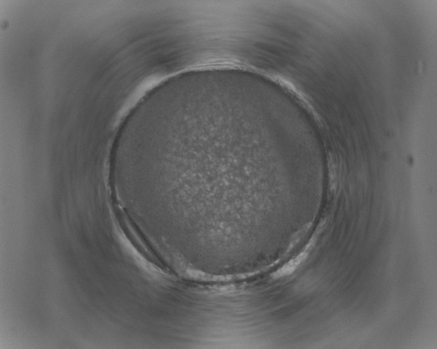 X0000076081422200610061604