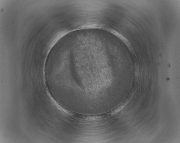 X0000076081423200610061604