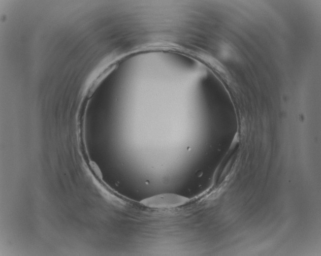 X0000076081430200610061605