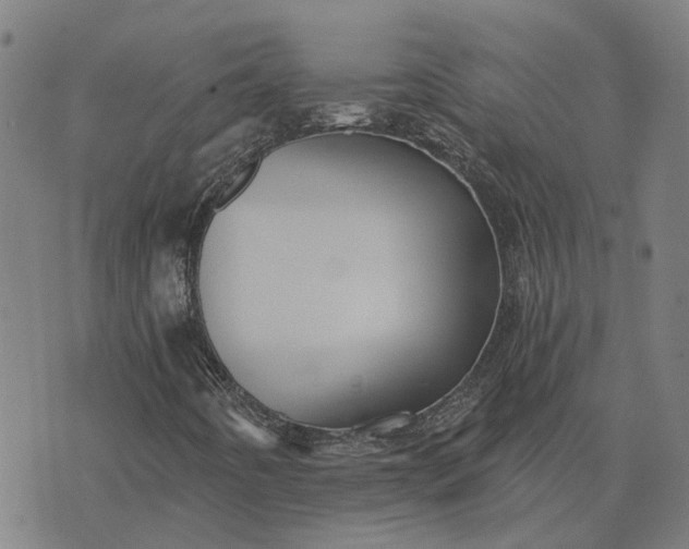 X0000076081442200610061604