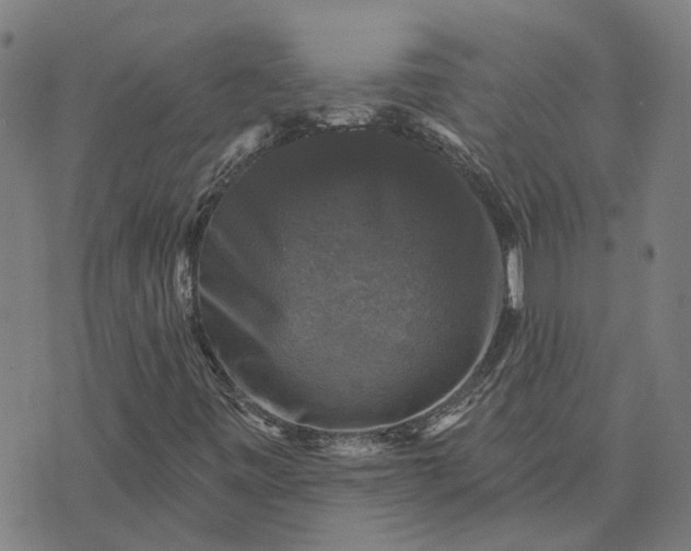 X0000076081443200610061604