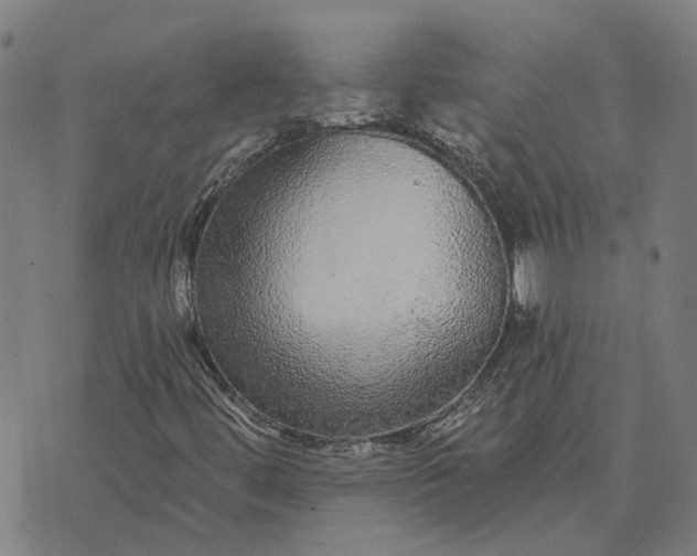 X0000076081444200610061604