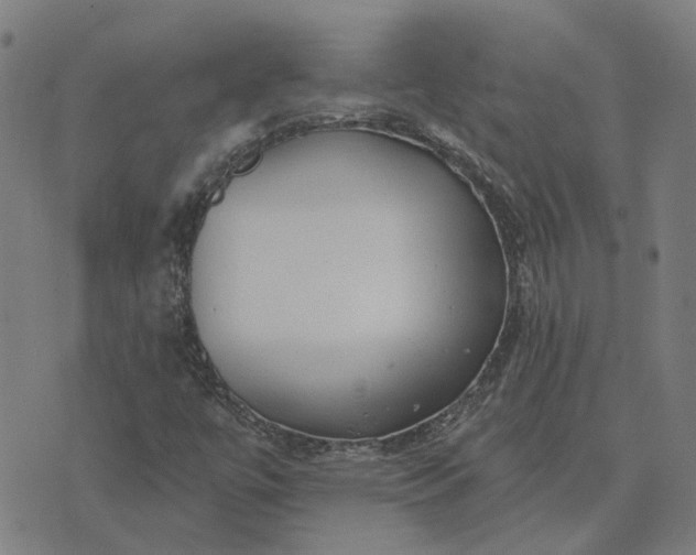 X0000076081447200610061604