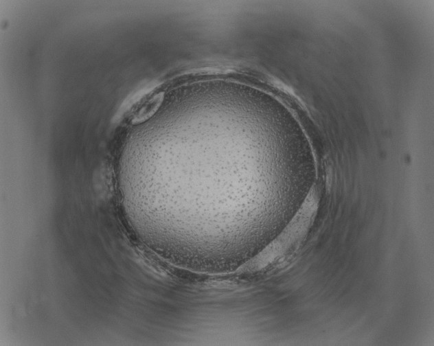 X0000076081448200610061604