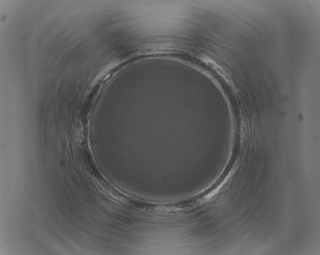 X0000076081449200610061604