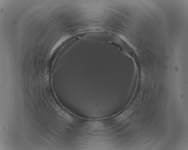 X0000076081450200610061604