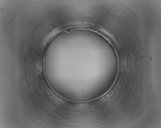 X0000076081451200610061604