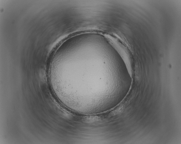 X0000076081452200610061604