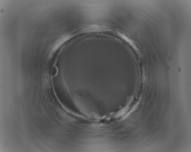 X0000076081453200610061604