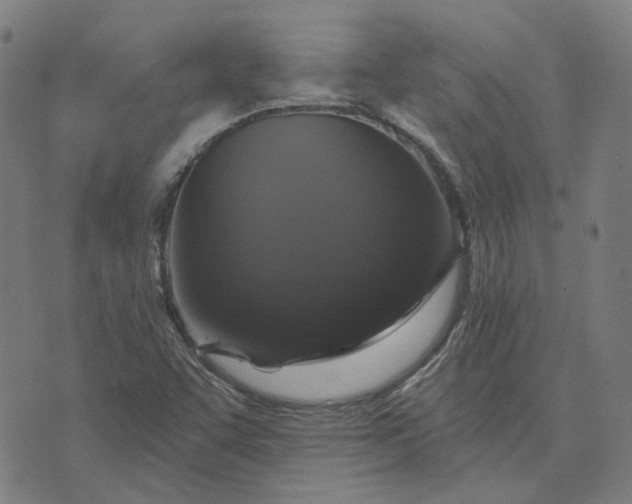 X0000076081455200610061604