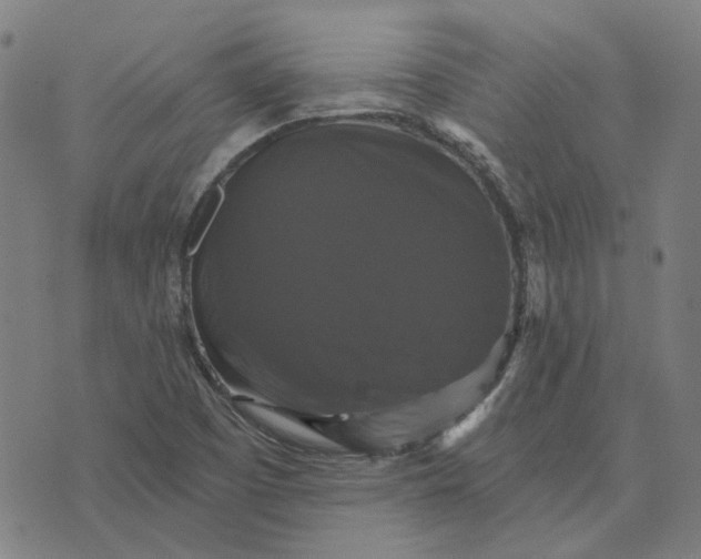 X0000076081457200610061604