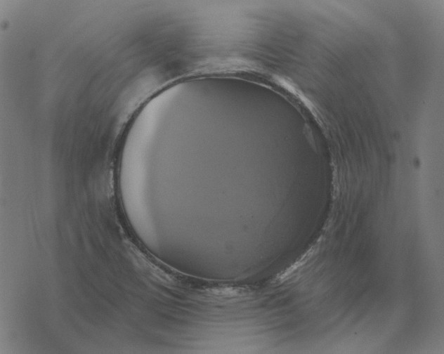 X0000076081459200610061604