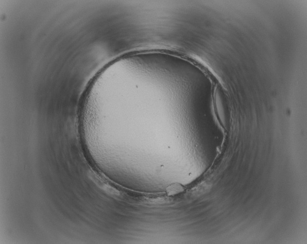 X0000076081460200610061604