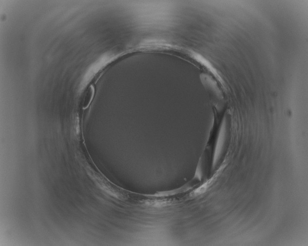 X0000076081461200610061604