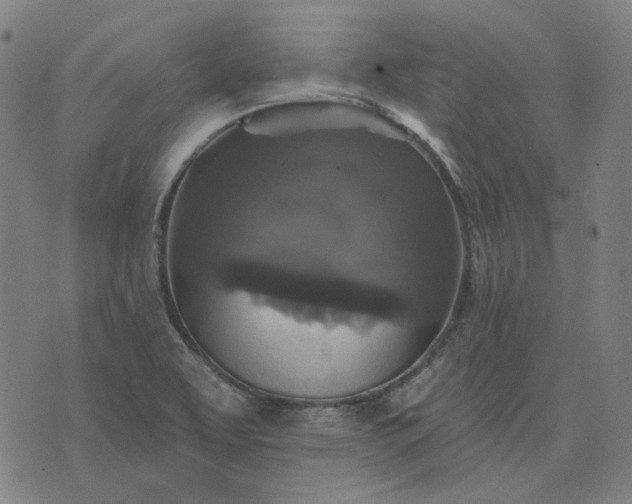 X0000076081463200610061604