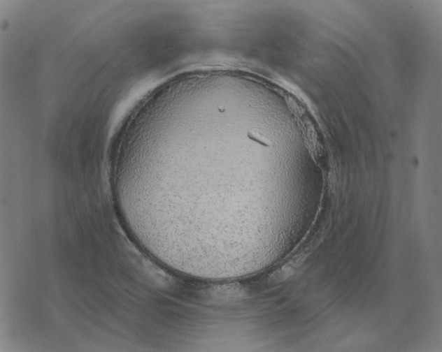 X0000076081464200610061604