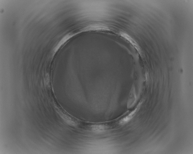 X0000076081465200610061604