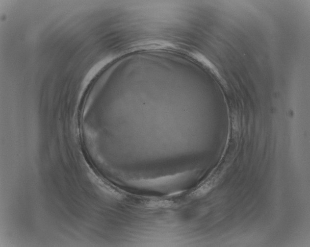 X0000076081466200610061604