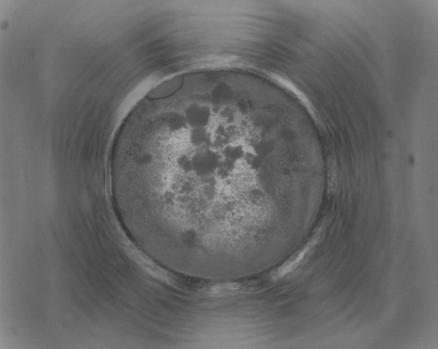 X0000076081467200610061604