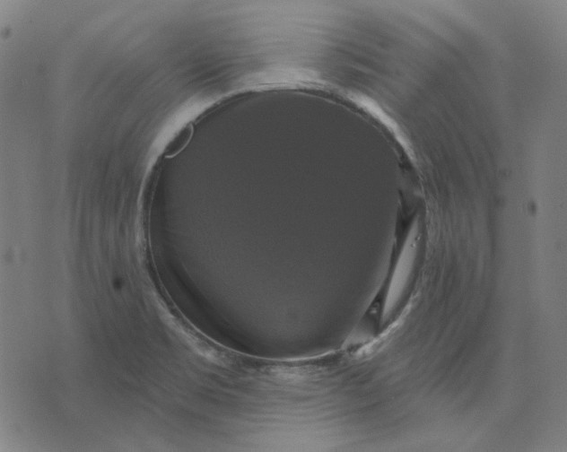 X0000076081469200610061604