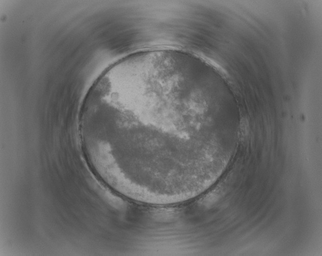 X0000076081470200610061604