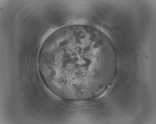 X0000076081471200610061603