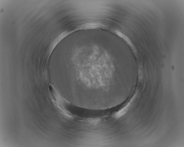 X0000076081473200610061603