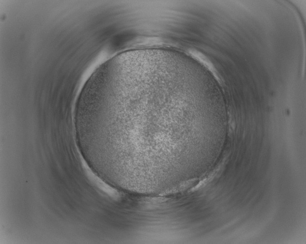 X0000076081475200610061603