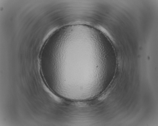 X0000076081476200610061603