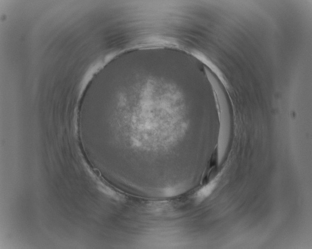 X0000076081477200610061603