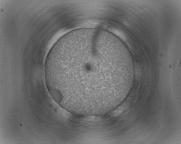 X0000076081478200610061603