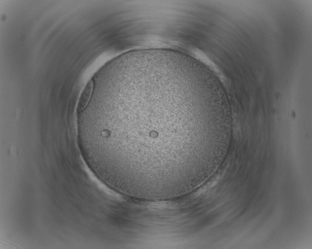 X0000076081479200610061603