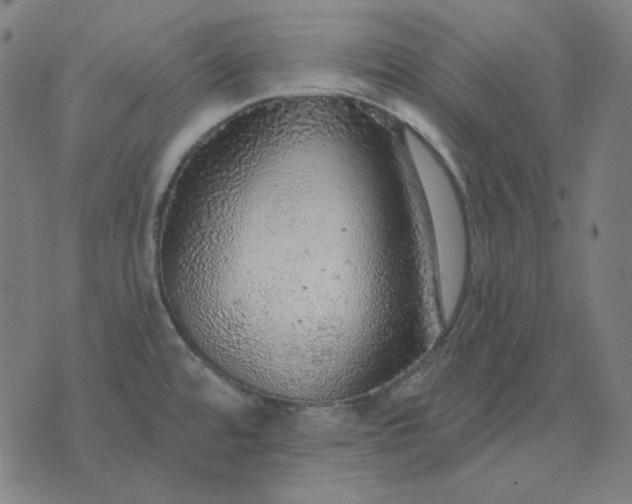 X0000076081480200610061603