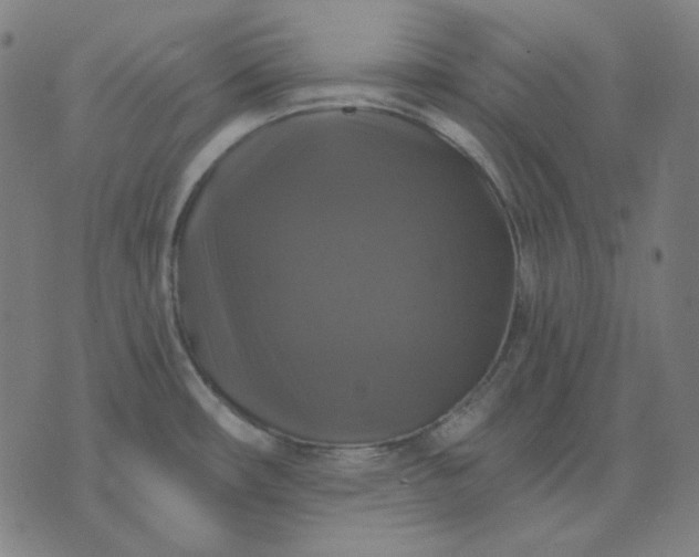 X0000076081482200610061603