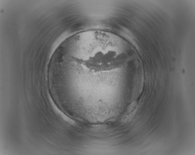 X0000076081483200610061603