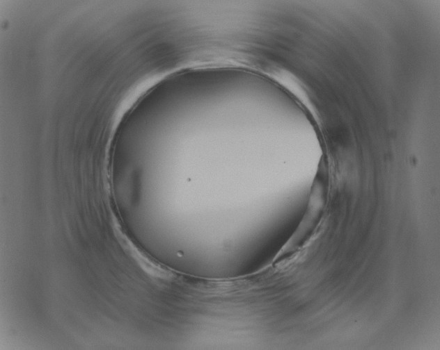 X0000076081485200610061603