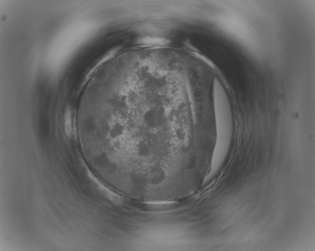 X0000076081487200610061603