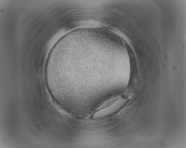 X0000076081488200610061603