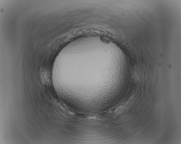X0000076081490200610061602